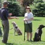 Read more about the article Valuable Training Your Dog Tips That Really Work