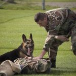 Read more about the article Well-Trained Dogs Are Happy Dogs And Good Citizens