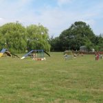 Read more about the article Mold Your Dog With Dog Training Tips