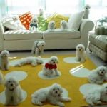 Read more about the article Steps For Making Successful A Lot Easier