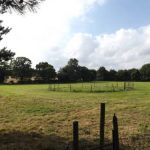 Read more about the article How To Deal With Your Dog