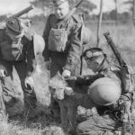 Read more about the article It’s Important For Your Dog To Follow Directions