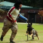 Read more about the article Susi’s Grooming Salon | Pet Grooming | 07029 | Harrison |