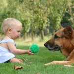 Read more about the article New York Dog Spa and Hotel | Pet Grooming | 10128 | New York |