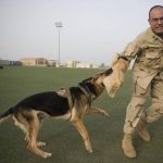 Read more about the article Happy Pets Mobile Grooming |  | 30067