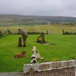 Read more about the article Hoboken Grooming Salon | Pet Grooming | 07030 | Hoboken |