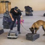 Read more about the article VCA California Animal Hospital Vete | Veterinary Information & Referral Services | 90025 | West LA