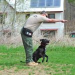 Read more about the article Lucky Pup |  | 90048 | Beverly Center